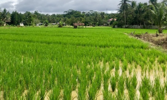 Konsep Pertanian Terintegrasi Diterapkan di Tenggarong Seberang, Ini Manfaatnya