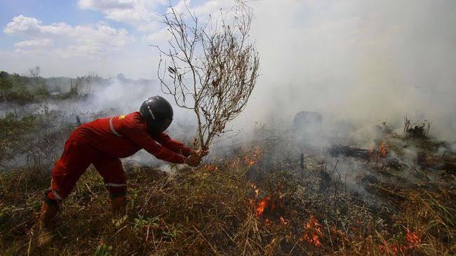 BMKG Ungkap Jumlah Titik Panas di Kaltim Menurun