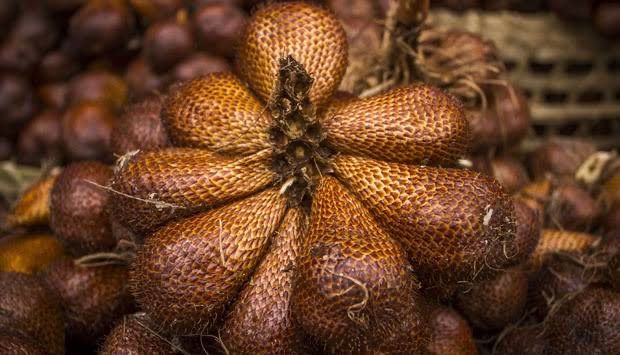 Kembangkan Sektor Agrowisata, Desa Loa Duri Ilir Tanam 1200 Pohon Salak Pondoh