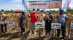 Desa Rapak Lambur Kukar Jadi Pilot Project Optimalisasi Lahan, Targetkan Tiga Kali Panen Setahun