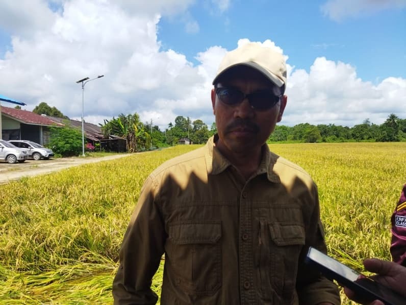 Dorong Produksi Beras, Kukar Bangun 12 Brigade Pangan dan Incar Ketahanan untuk IKN