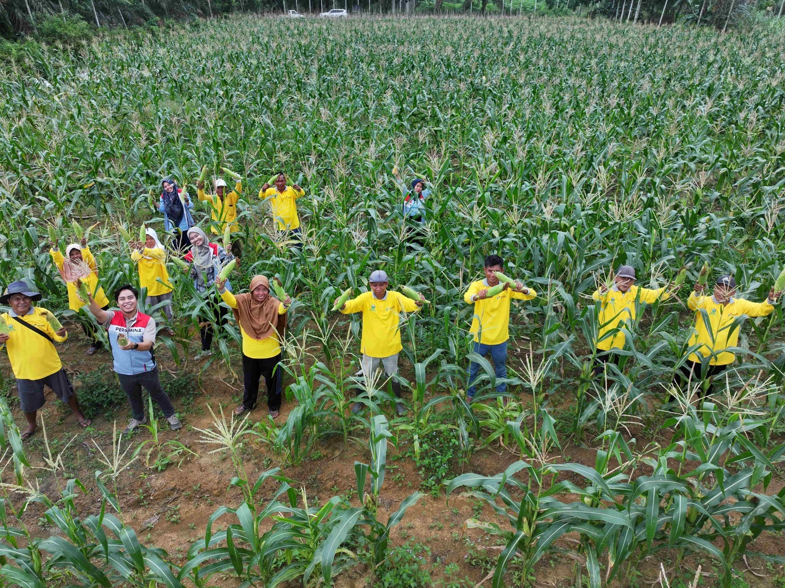 Pemdes Perdana Siapkan 80 Hektare Lahan Perkebunan untuk Menekan Angka Kemiskinan
